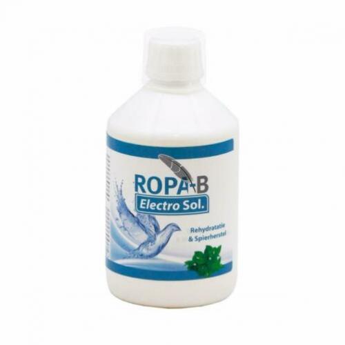 Ropa-B Electro Sol. gericht op rehydratatie & spierherstel