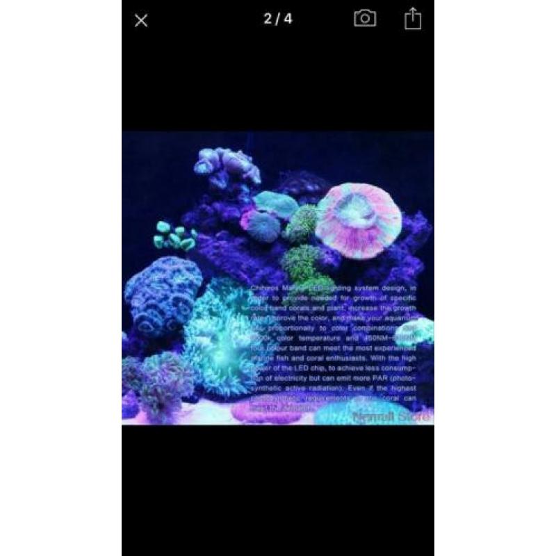 Aquarium Led Marine SPS LPS 60cm 4600 lumen Nieuw!!!