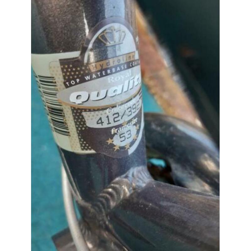 Gazelle Medeo Airglider, frame 53 inch