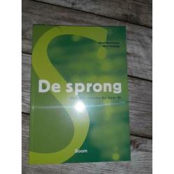 De sprong boek B1 Nederland taal met code