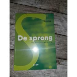 De sprong boek B1 Nederland taal met code
