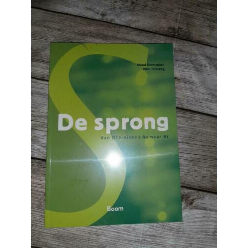 De sprong boek B1 Nederland taal met code