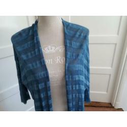 Mooi blauw streepjes vest van SUMMUM maat L