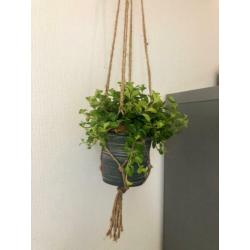 Handgemaakte plantenhanger - binnen&buiten (vanaf 4 euro)