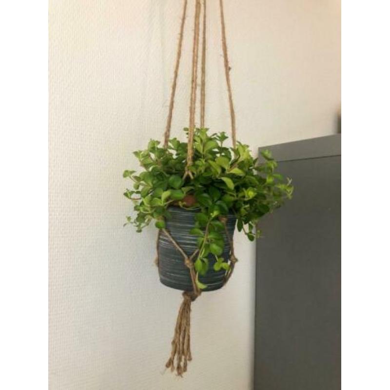 Handgemaakte plantenhanger - binnen&buiten (vanaf 4 euro)