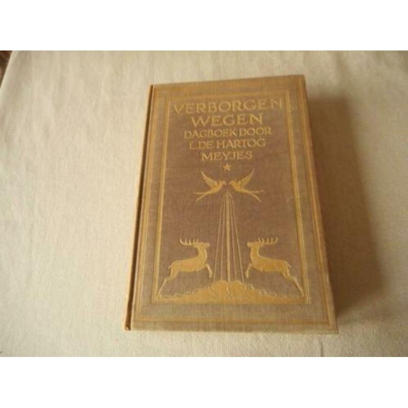 Verborgen wegen - Dagboek door L. de Hartog Meyjes