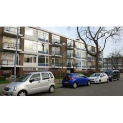 Volledig gerenoveerd 2kmr appt te huur rustig gelegen Rdam-Z