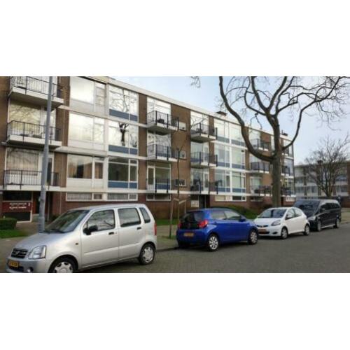 Volledig gerenoveerd 2kmr appt te huur rustig gelegen Rdam-Z