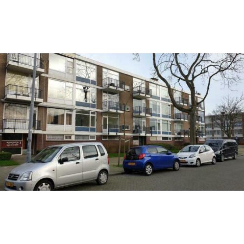 Volledig gerenoveerd 2kmr appt te huur rustig gelegen Rdam-Z