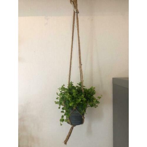 Handgemaakte plantenhanger - binnen&buiten (vanaf 4 euro)