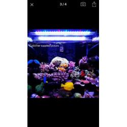 Aquarium Led Marine SPS LPS 60cm 4600 lumen Nieuw!!!