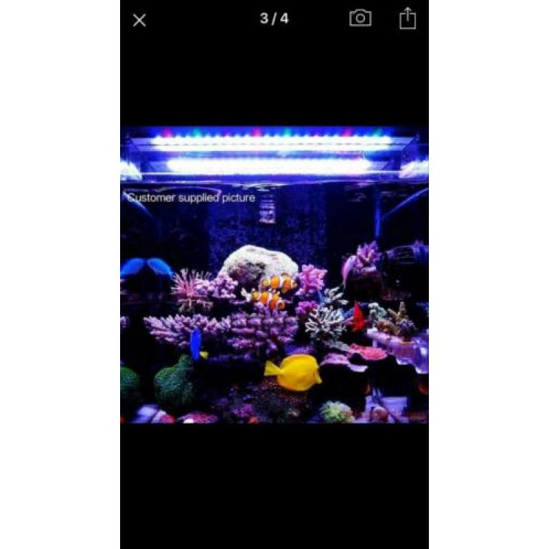 Aquarium Led Marine SPS LPS 60cm 4600 lumen Nieuw!!!