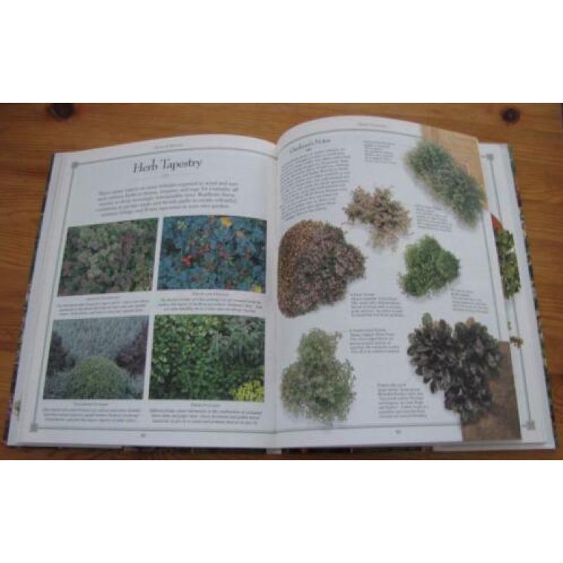 Herb Garden , decoratieve manieren om kruiden te kweken