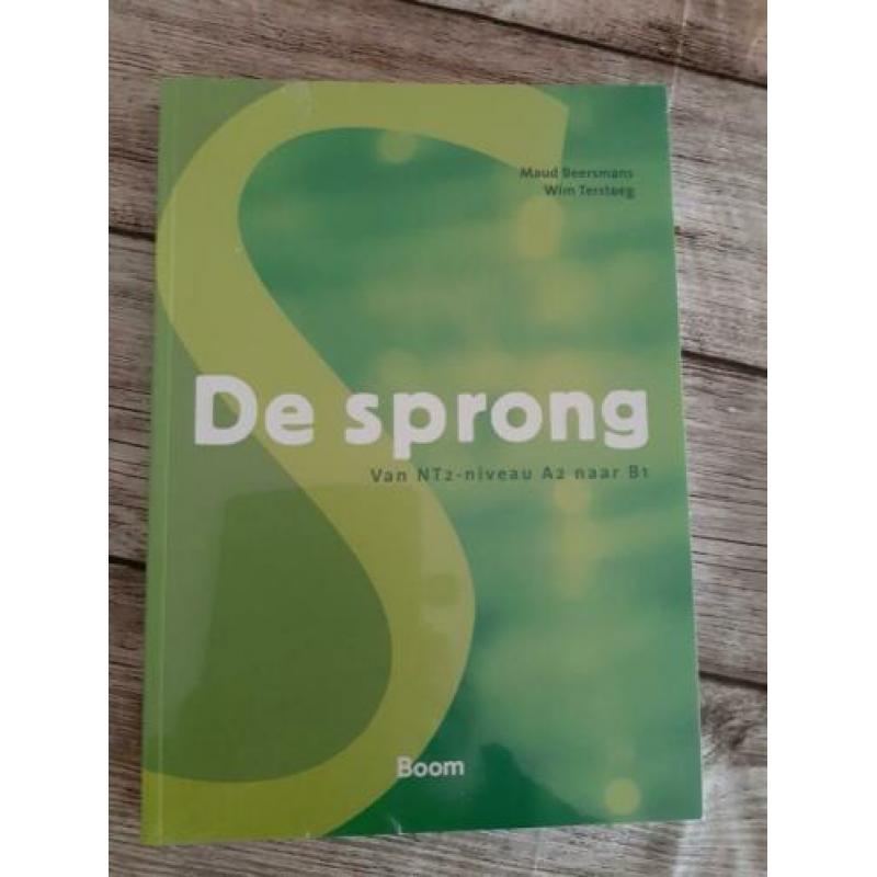 De sprong boek B1 Nederland taal met code