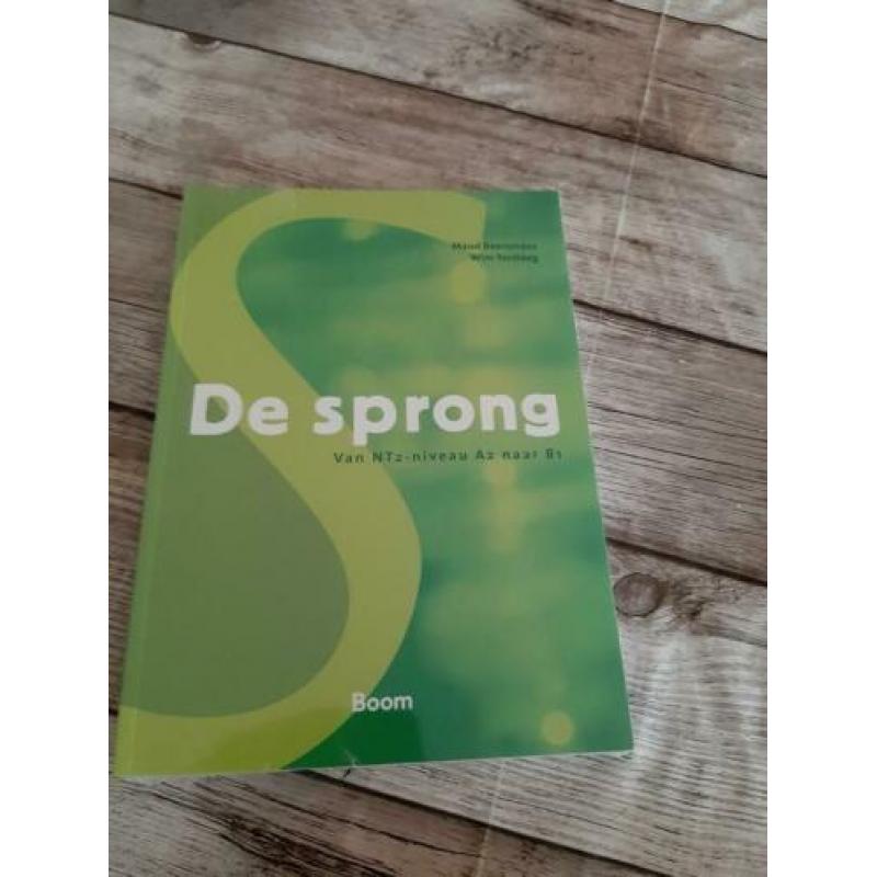 De sprong boek B1 Nederland taal met code