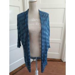Mooi blauw streepjes vest van SUMMUM maat L
