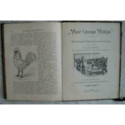2 ingebonden boeken met tijdschriften - Voor ´t Jonge Volkje
