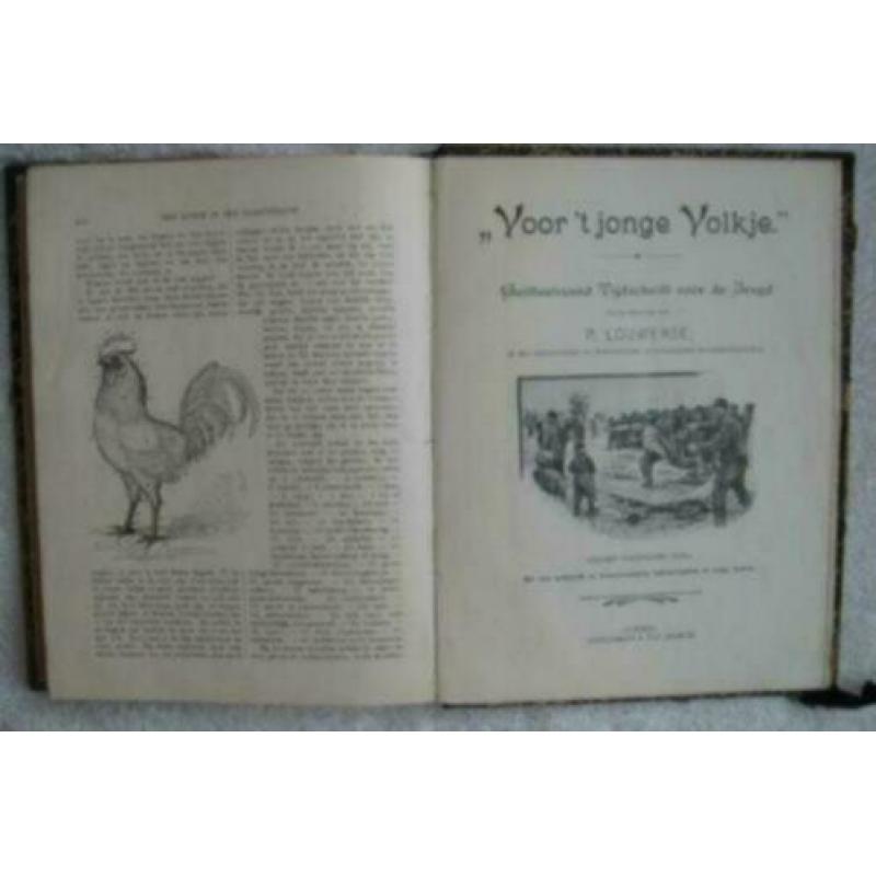 2 ingebonden boeken met tijdschriften - Voor ´t Jonge Volkje