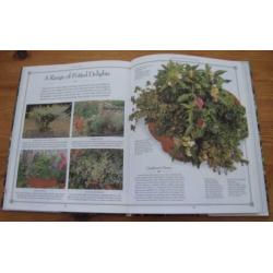 Herb Garden , decoratieve manieren om kruiden te kweken