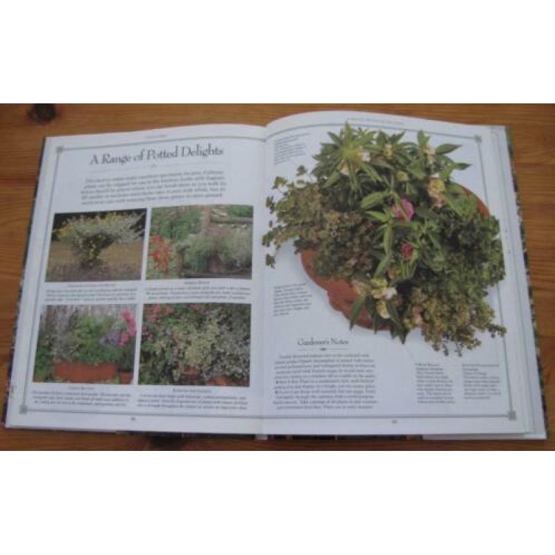 Herb Garden , decoratieve manieren om kruiden te kweken