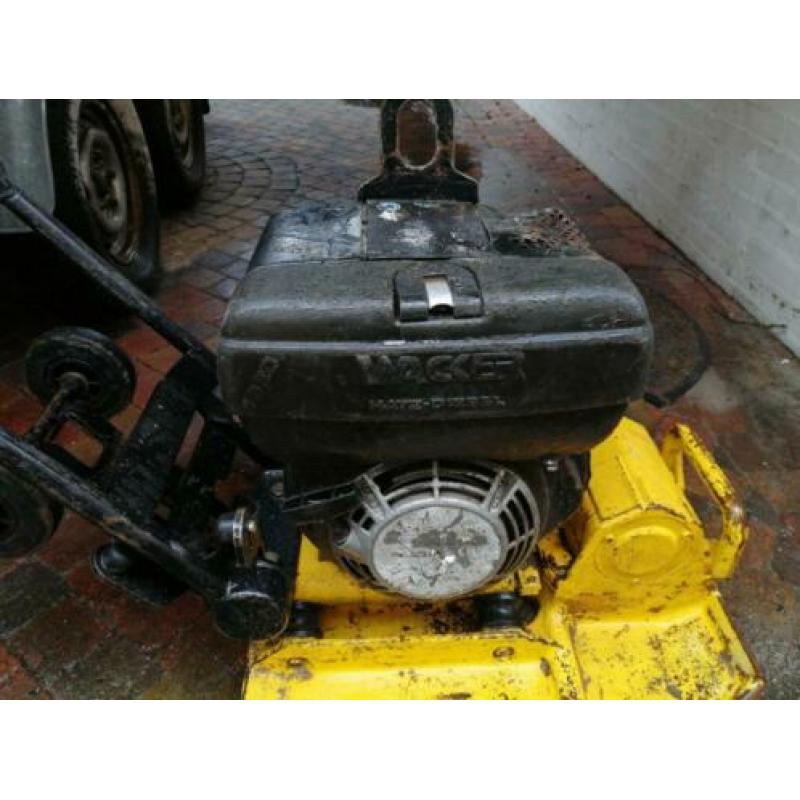 Wacker trilplaat 1850