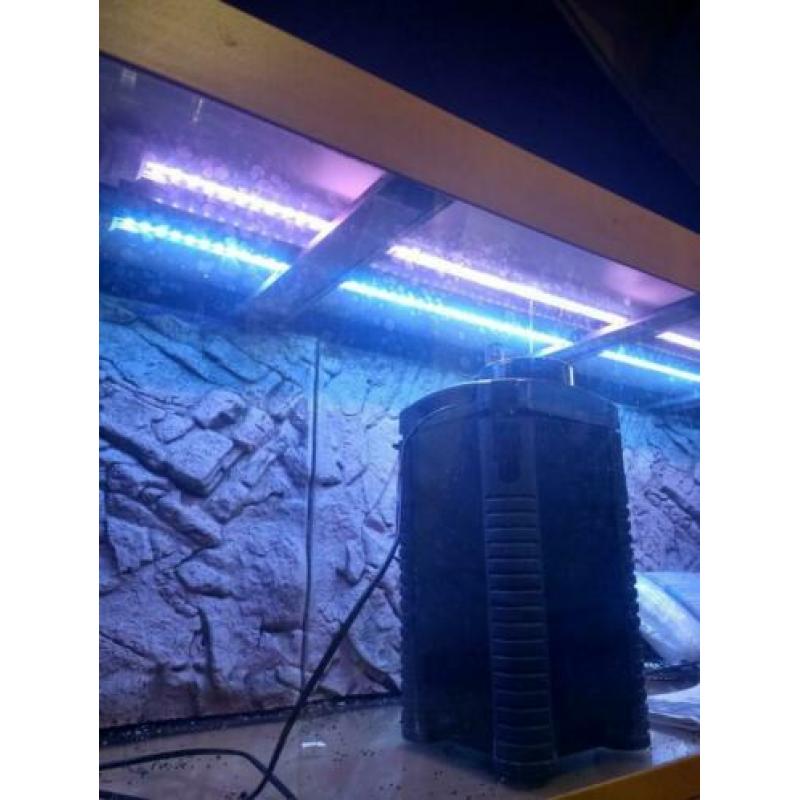 Aquarium 2 meter incl kast,pomp, thermostaat, Led verlichtin