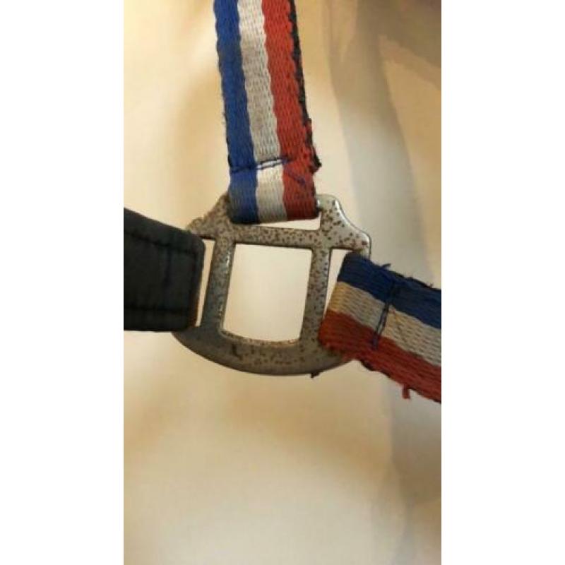 Halster + touw rood-wit-blauw maat pony