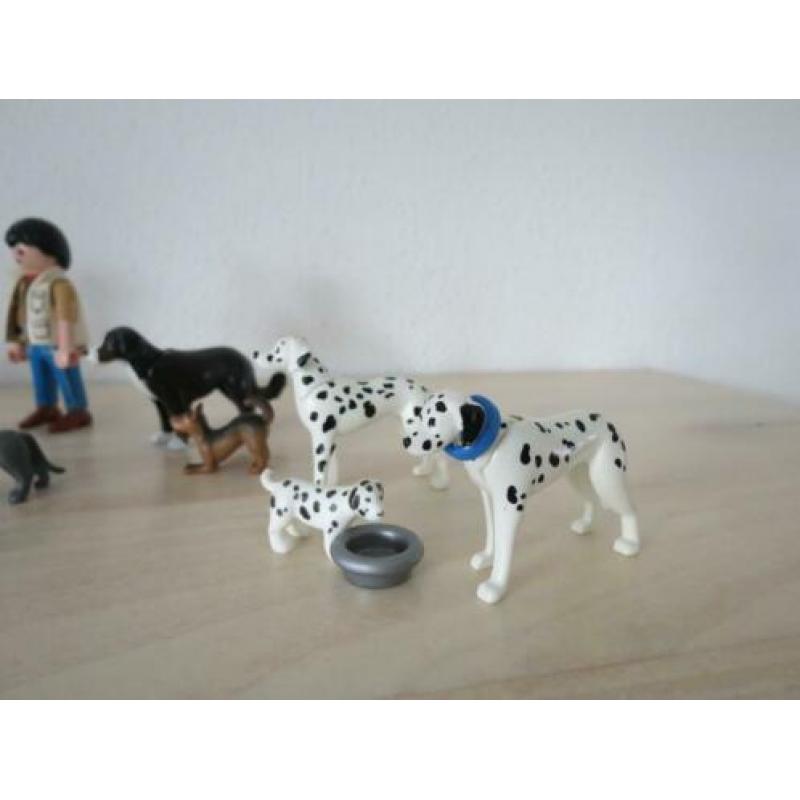 15 honden en 2 begeleiders. Honden uitlaat service, puppies