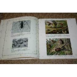 Dierkunde Album - Met kleurenplaten - 1930 !!