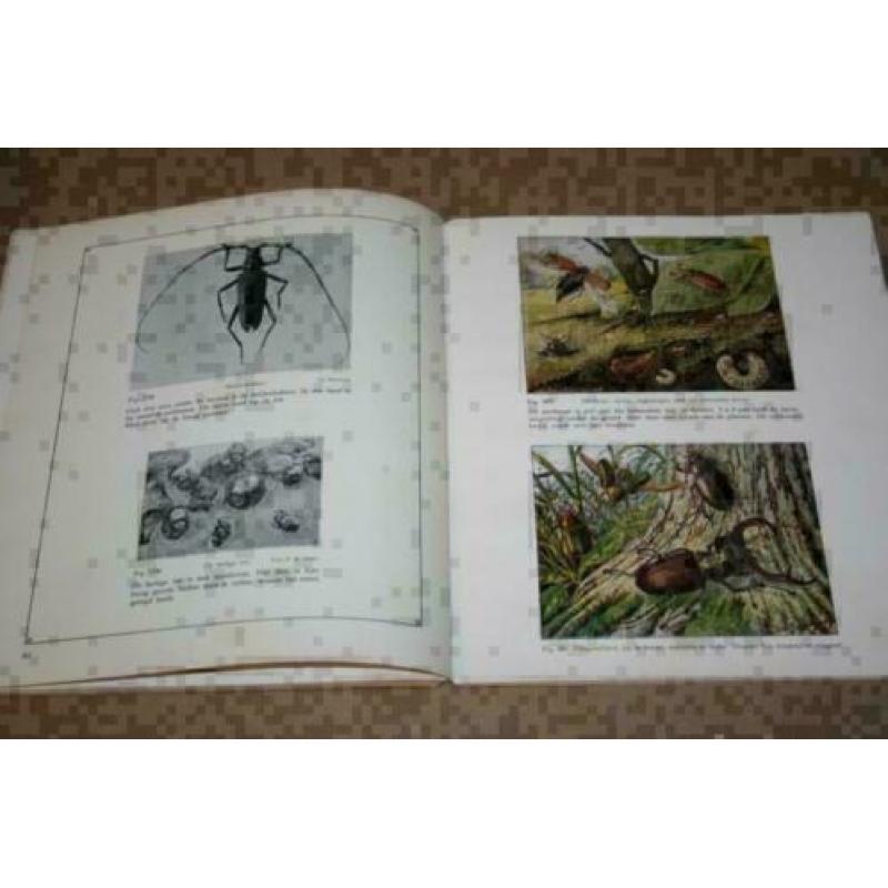 Dierkunde Album - Met kleurenplaten - 1930 !!