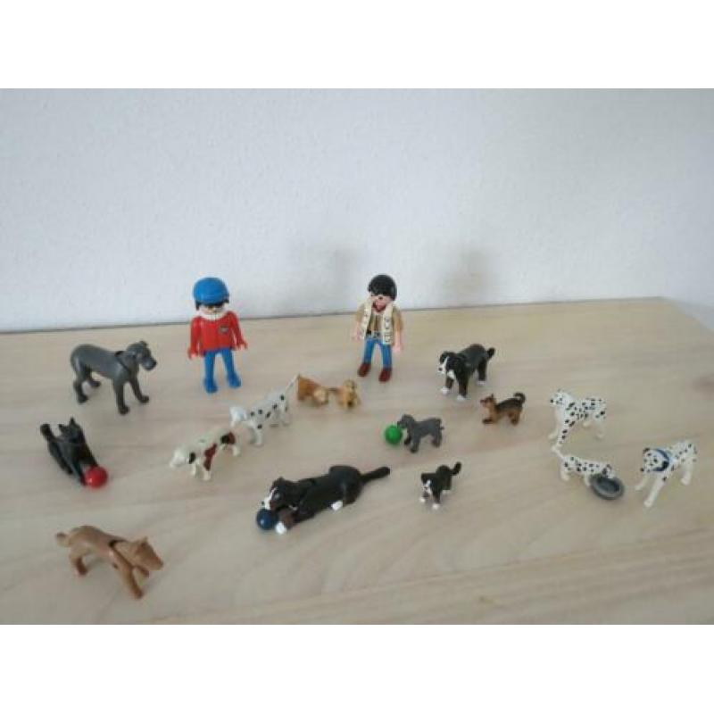 15 honden en 2 begeleiders. Honden uitlaat service, puppies