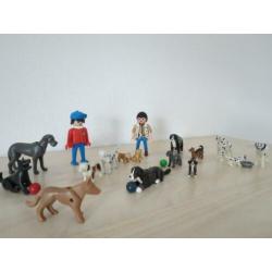 15 honden en 2 begeleiders. Honden uitlaat service, puppies