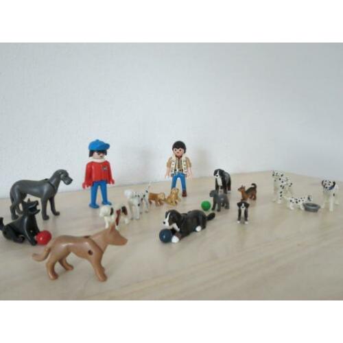 15 honden en 2 begeleiders. Honden uitlaat service, puppies