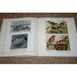 Dierkunde Album - Met kleurenplaten - 1930 !!