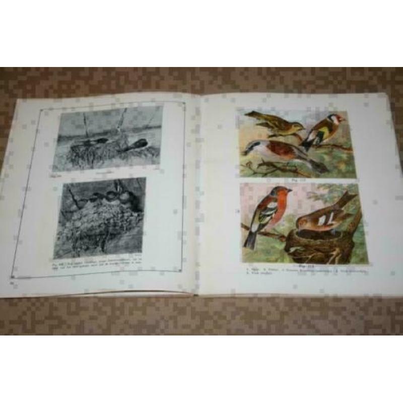 Dierkunde Album - Met kleurenplaten - 1930 !!