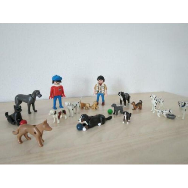 15 honden en 2 begeleiders. Honden uitlaat service, puppies