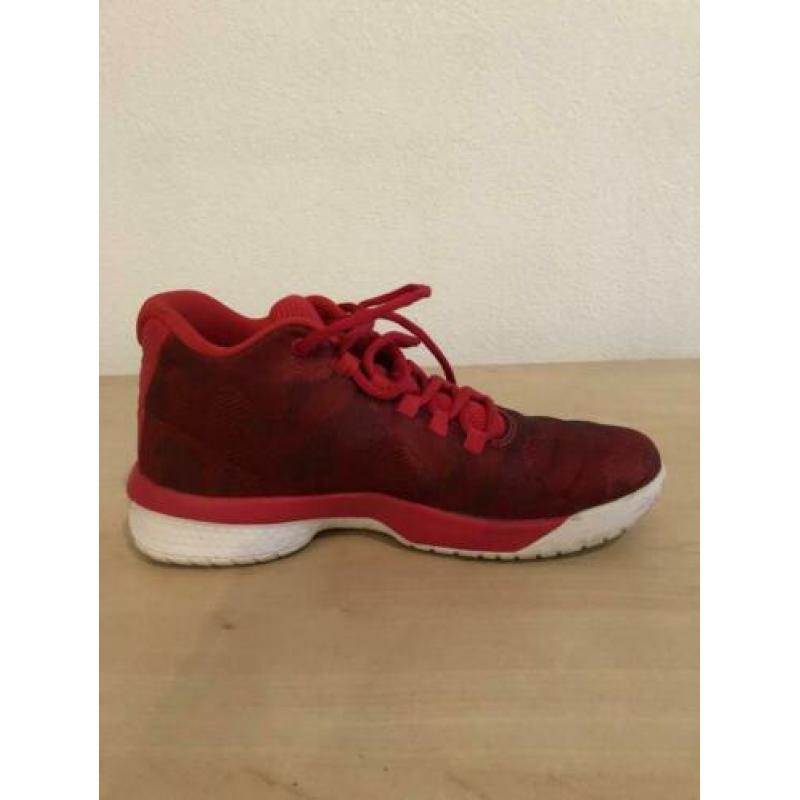 Nike Jordan sneakers