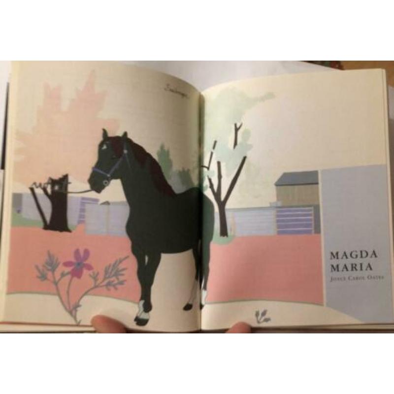 Dave Eggers / McSweeney's 25 2007