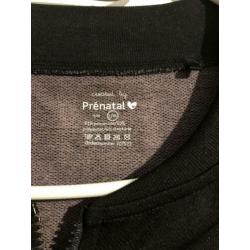 Prenatal trainingsjasje L/XL
