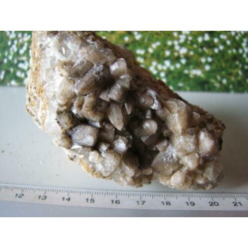 Mooi stuk Hondentand Calciet.203.3