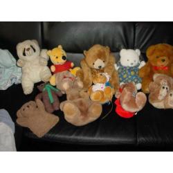 Beertjes groot en klein. Ook rugzakje, handpop en knuffels.