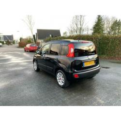 Fiat Panda 0.9 TwinAir Sempre