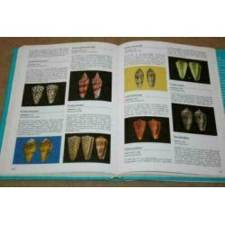 Geïllustreerde Schelpen Encyclopedie !!