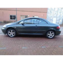 Peugeot 307 CC 2.0-16V Leder,,Clima,Cruise control