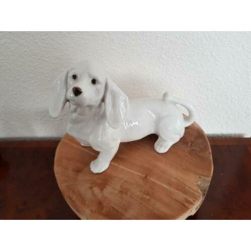 Teckel hond beeldje wit