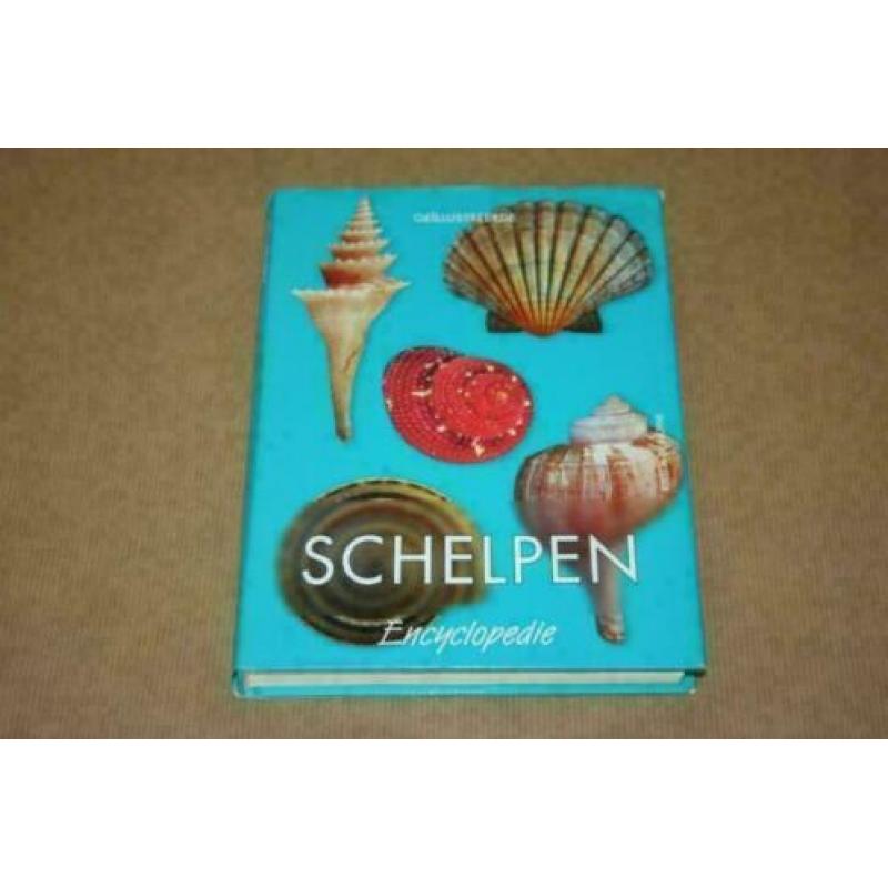 Geïllustreerde Schelpen Encyclopedie !!