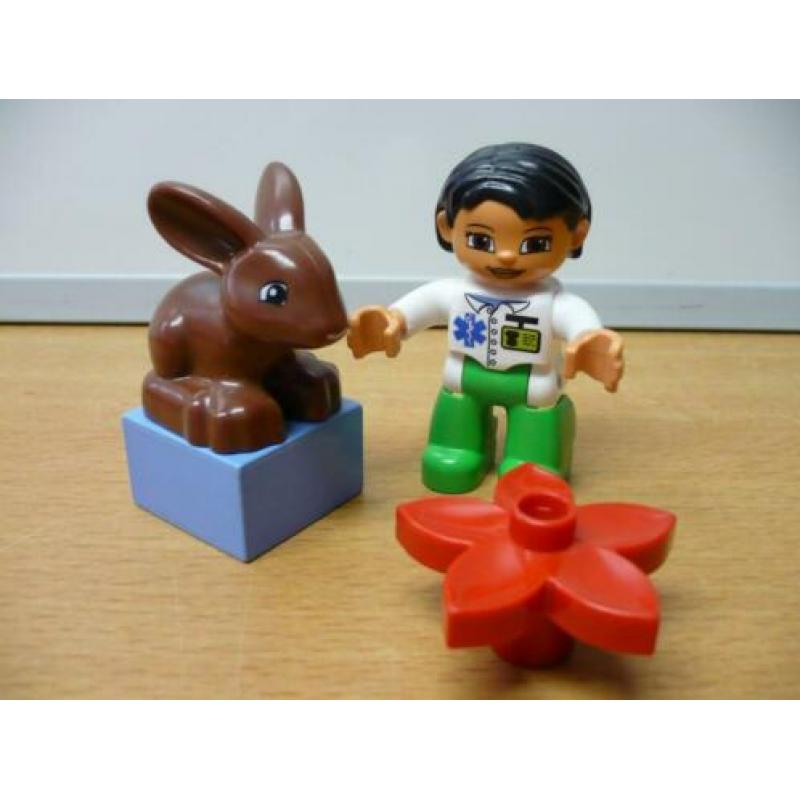 Duplo Diverse kleine setjes Bekijk alle foto's. 5678 - 5632