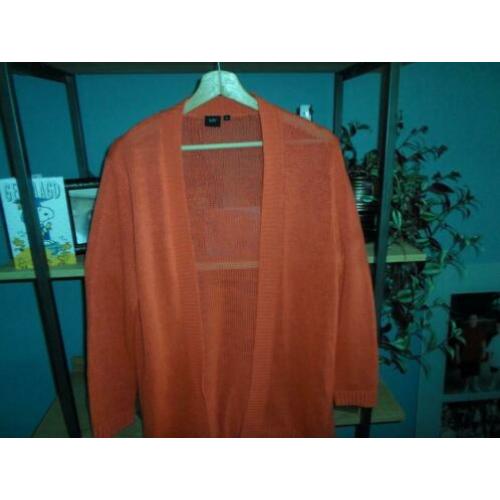 Cerise vest maat XL merk LIV