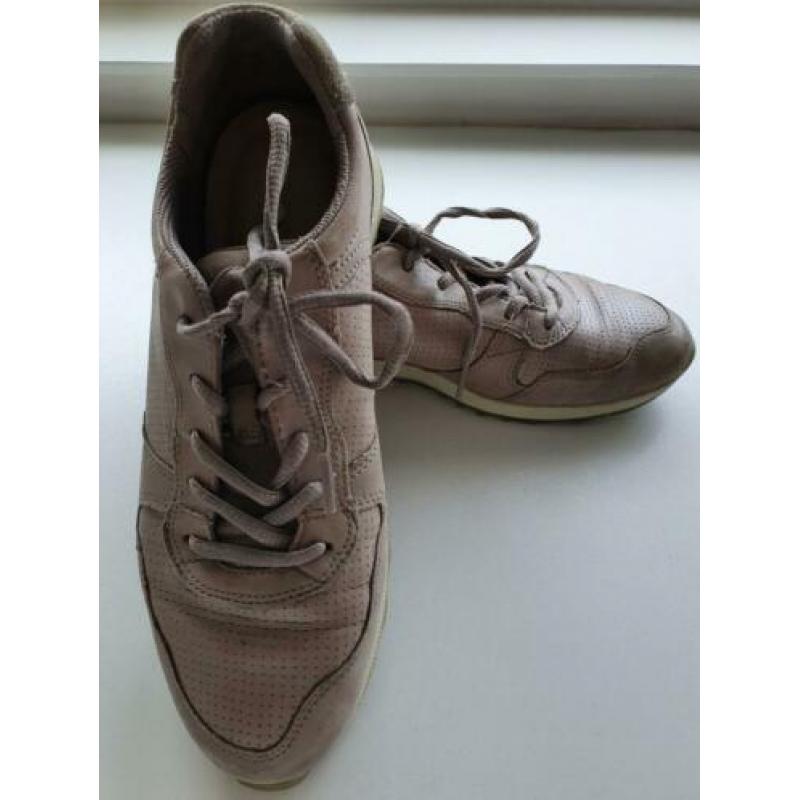 Dames sneaker Ecco maat 38
