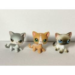 lps shorthair katten nummers: # 5, # 72, # 138.